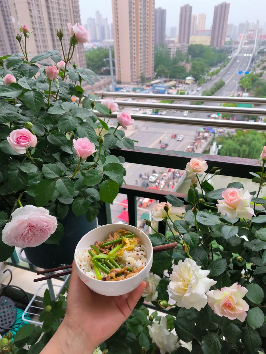 养花的都懂吧
我妈笑我睡在阳台吧，如果阳台够大的话……真的时时刻刻都要看着我的花