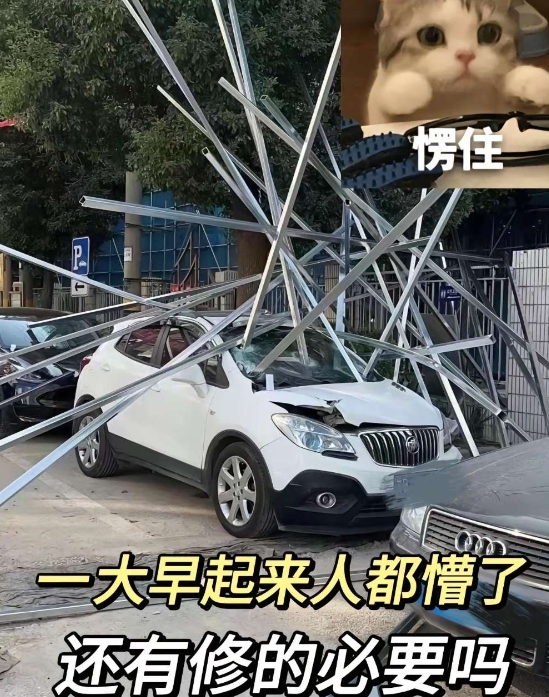 一大早起来都懵了，还有修的必要吗？
