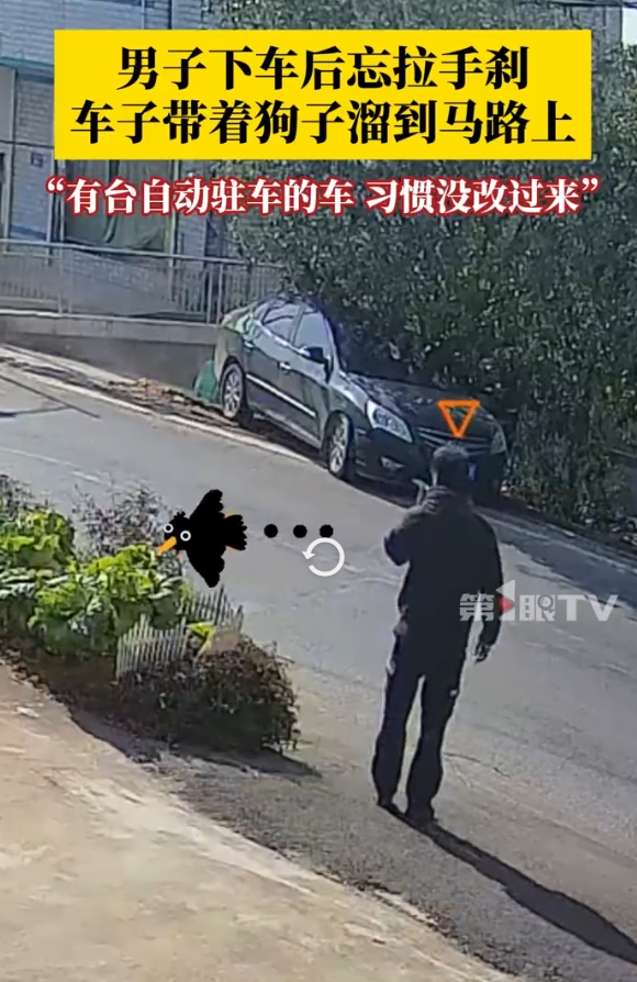 男子下车忘拉手刹车溜车