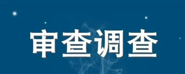 近日，湖南郴州的女干部陈兰兰出了问题，因涉嫌严重违纪违法被查。陈兰兰可不一般，她