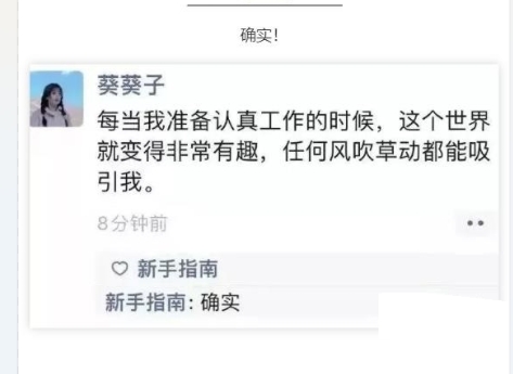 每当我准备认真工作的时候