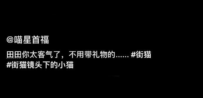 猫咪还挺懂人情世故就是这回礼大可不必