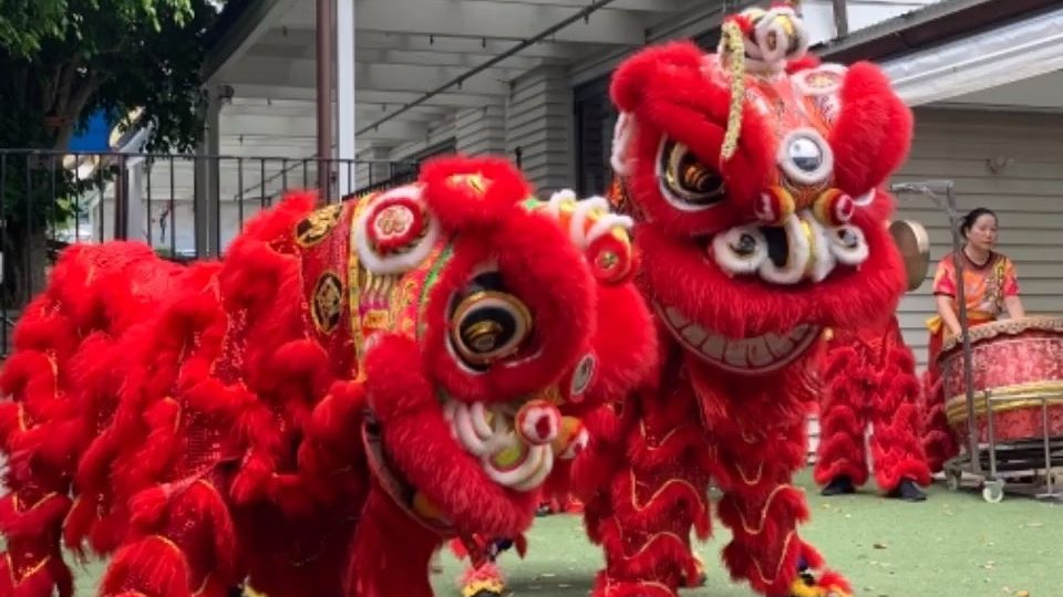 误解与偏见：中土世界部分民众对特定群体的刻板印象从何而来？
