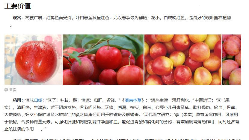 李！中华历史唯一特殊的存在！无法被逾越的存在！