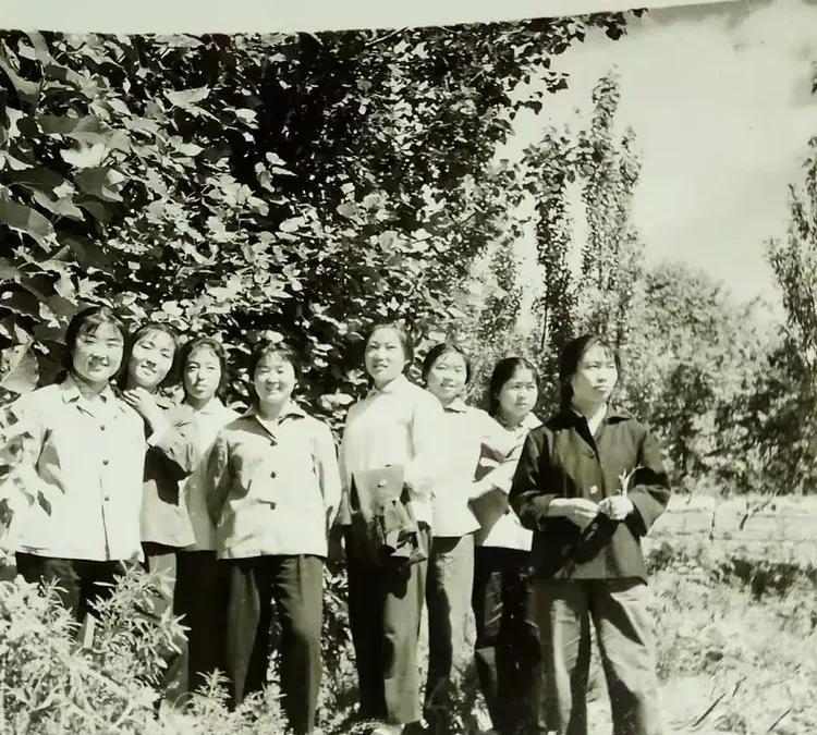 【老照片】以前还真不知道，新疆生产建设兵团的子女当年也当知青。本组图片上的美女们