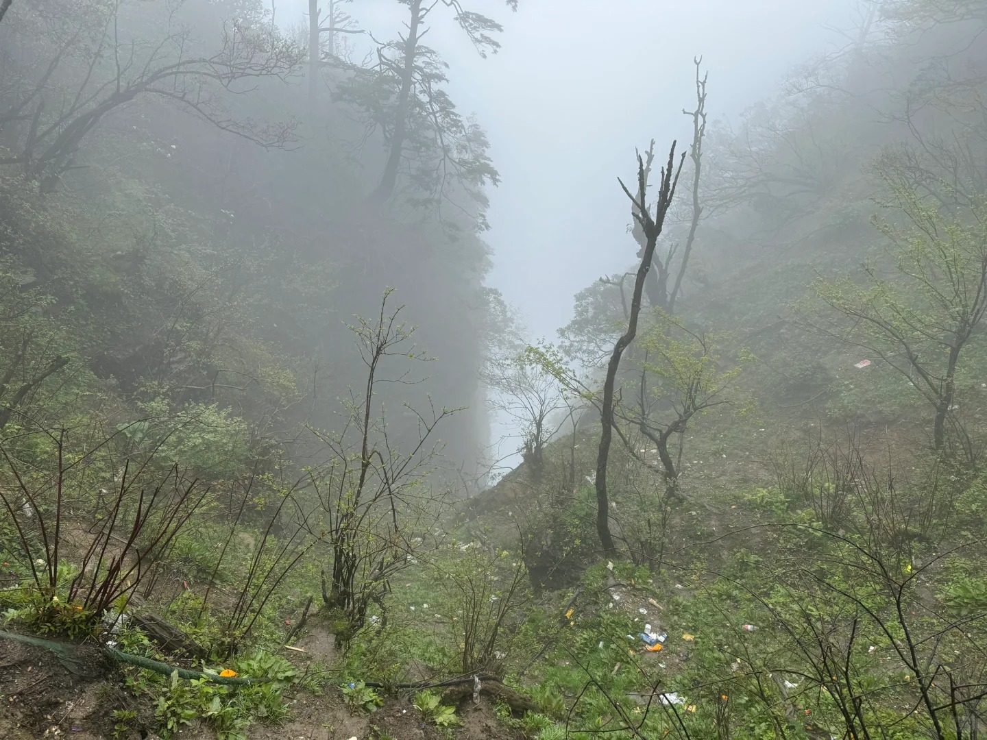 这辈子不会再来峨眉山第二次
体验非常差，也配叫国家5A级景区？
1，景区管理混乱
