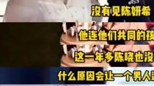 苍蝇不叮无缝蛋陈妍希到底做了啥，陈晓如此决绝？卓伟再次曝料