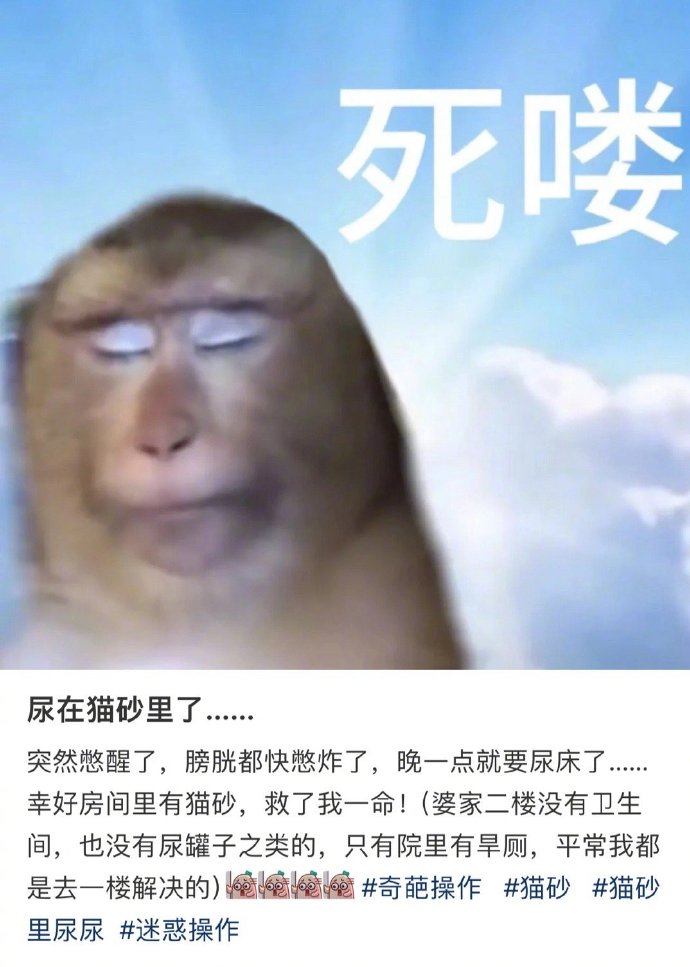 有时候我真的会被人类的经历吓到