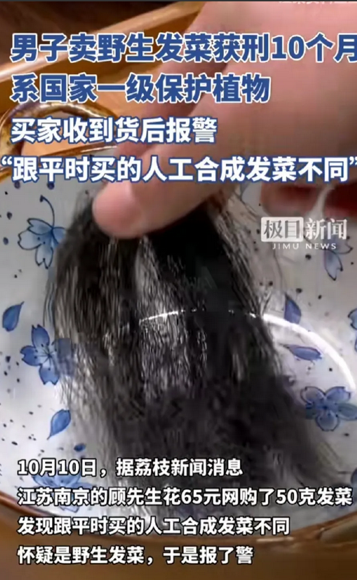 “有点离谱！”江苏南京，男子用65元网购了50克发菜，收货后却发现是野生发菜，于