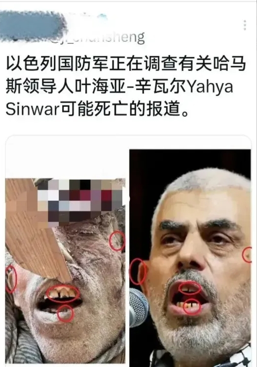距离哈马斯前领导人哈尼亚遇袭身亡仅2个多月，继任者辛瓦尔也被以军击毙了。

从以