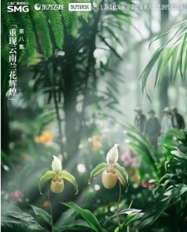 兰花的美，让世界为之倾倒，却也让它濒临危机。胡歌 陈龙 闲人王昱珩 无穷小亮微博