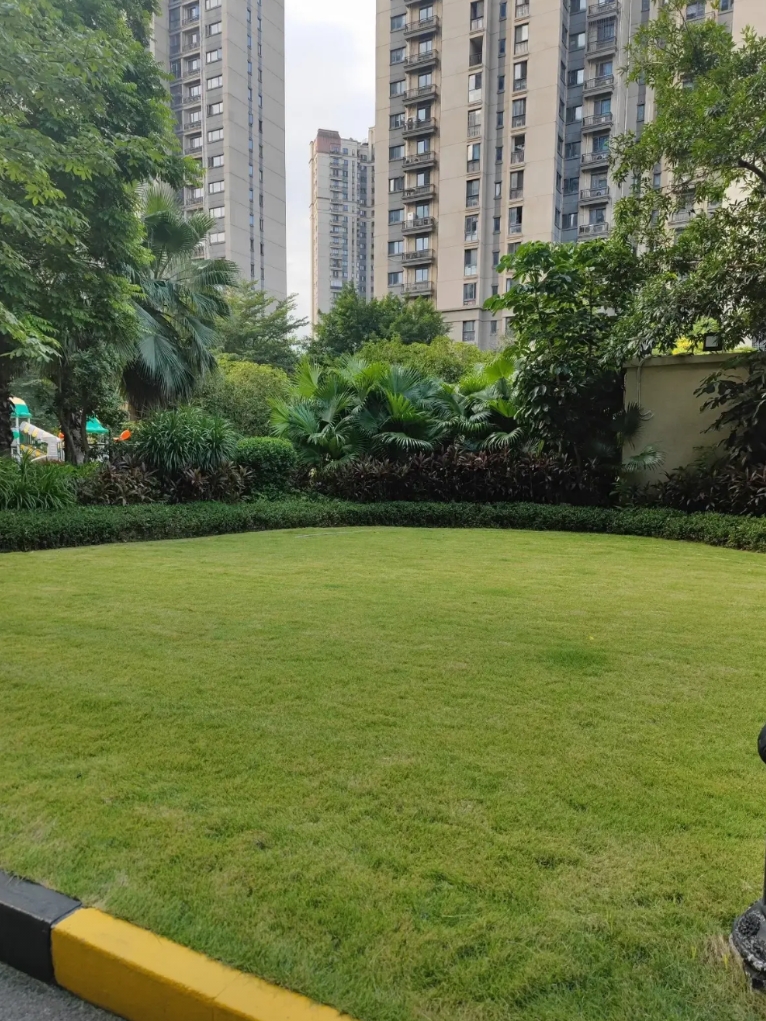 上高三的儿子打电话说想请半天假，家长是同意还是不同意呢？

上周六上午九点多，我