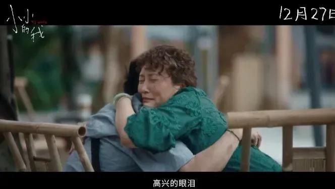 《小小的我》：成本2亿，上映12天票房5.9亿，豆瓣开分7.2，幕后故事同样让人泪目