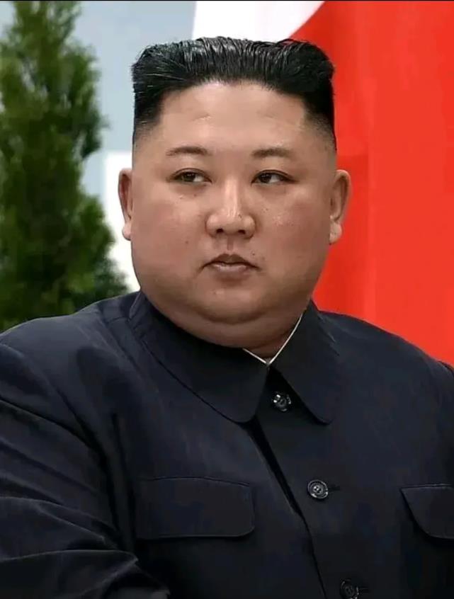 投其所好！

今天，一则关于俄罗斯总统普京向朝鲜领导人金正恩赠送24匹奥尔洛夫快