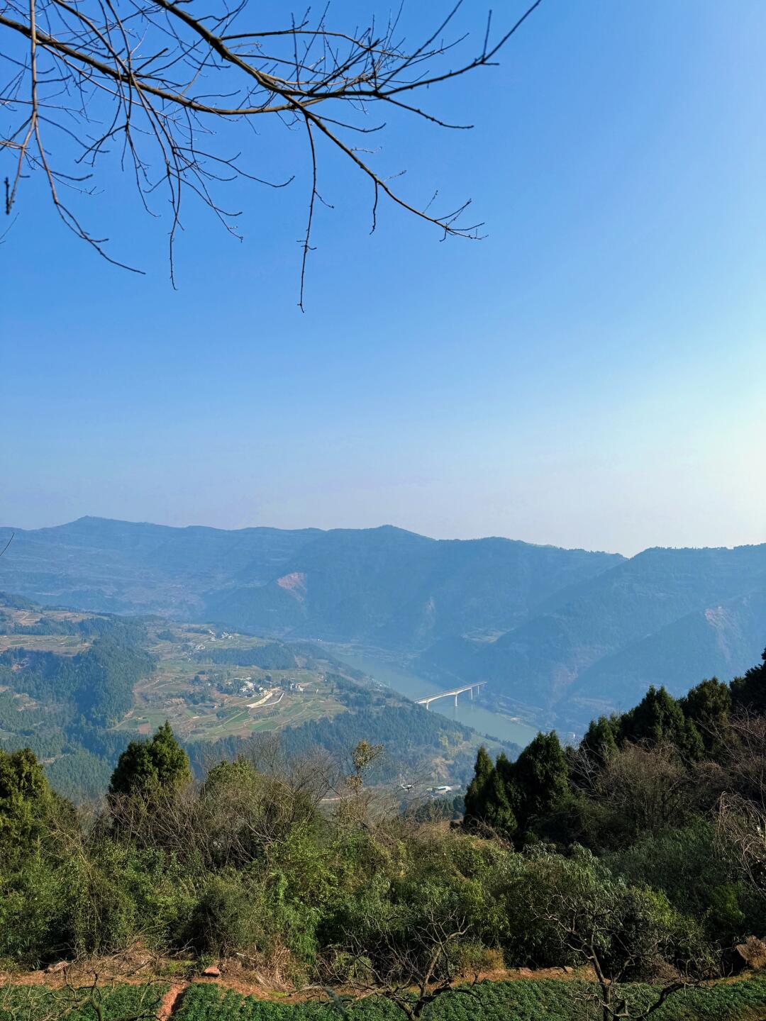 每年的老规矩 都会选择一座离家近的山等登一登 预示着步步高升，事业如意 