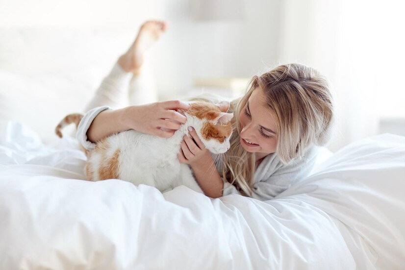 很多人选择养猫是因为猫咪独立、优雅、容易照顾。然而，随着养猫经验的积累，很多宠物