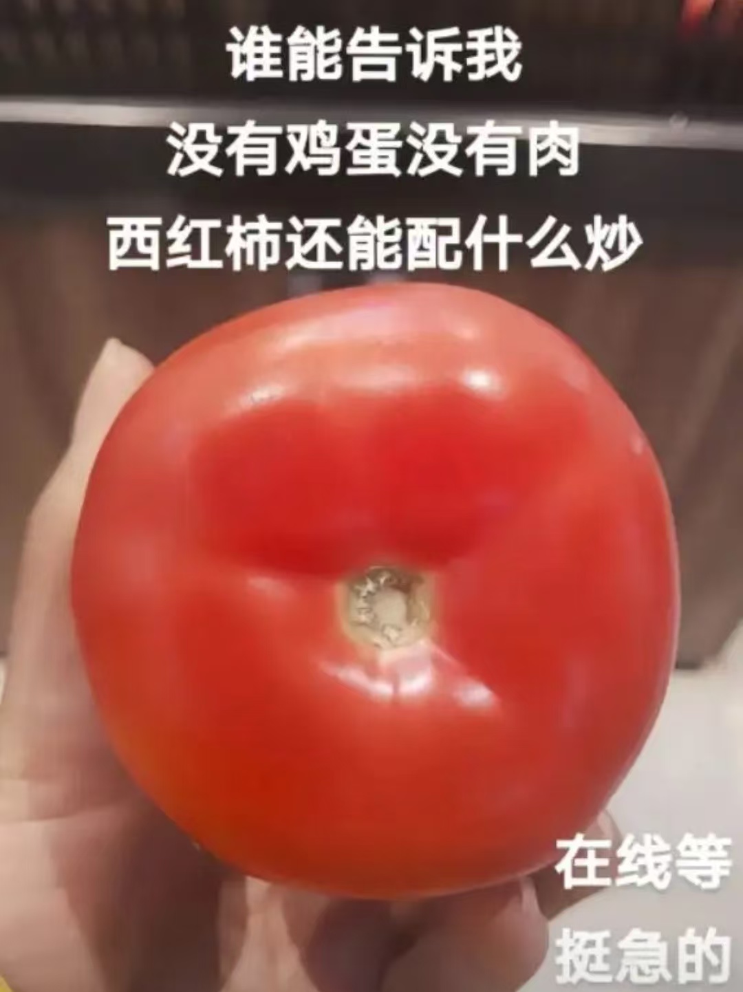 番茄除了炒鸡蛋还能炒什么？
