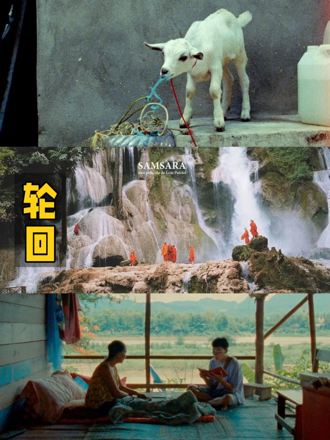 看完这电影，缓解了我对生死轮回的焦虑