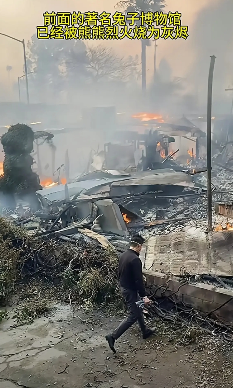 洛杉矶大火，美国人除了逃命就是抱怨、指责政府救火不力，这几位中国人却带着斧头、大