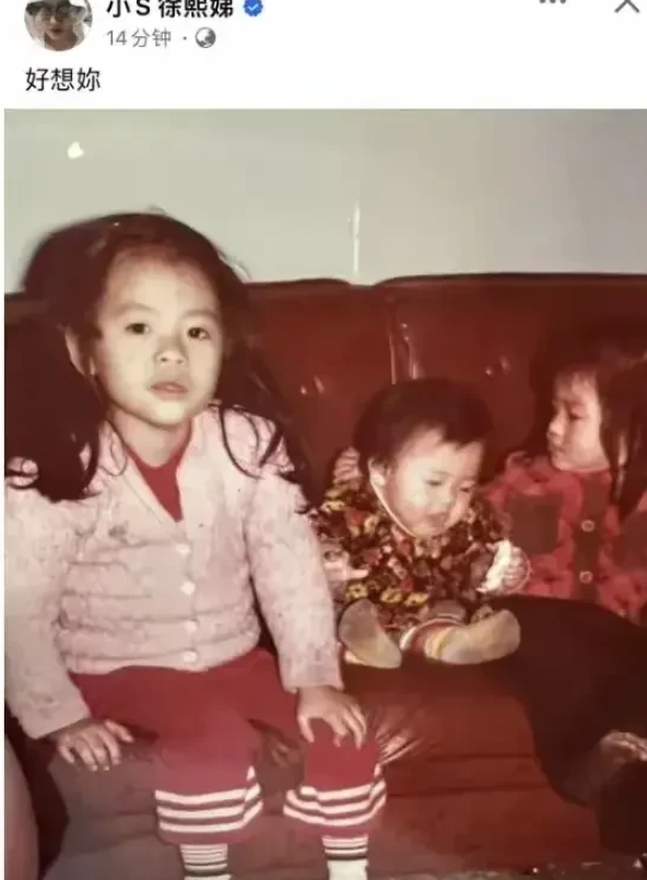大S该告的，其实是妹妹小S！离婚后，大S的“嘲点”几乎全是小S在节目中爆的。
记