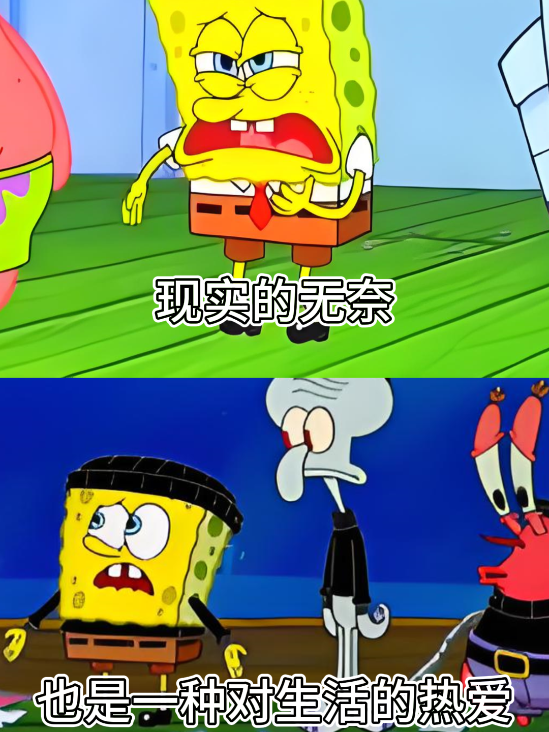 躺平不是一种选择