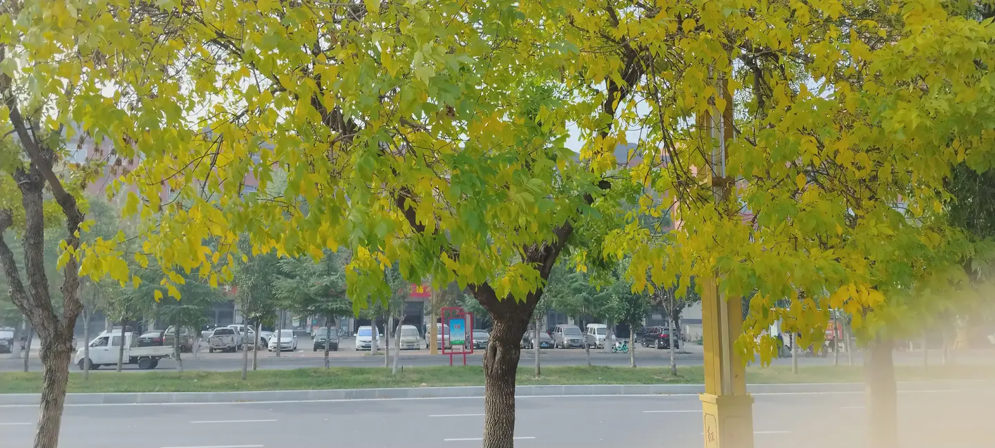 73年的我，今年51岁，感觉身上的压力大