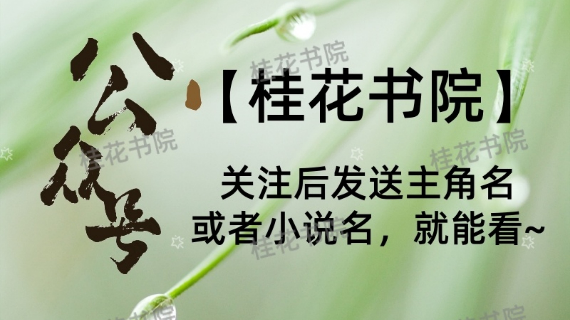 《顾文清柯云昭》顾文清柯云昭：柯云昭眼里却只有顾文清的身影，根本不想回头