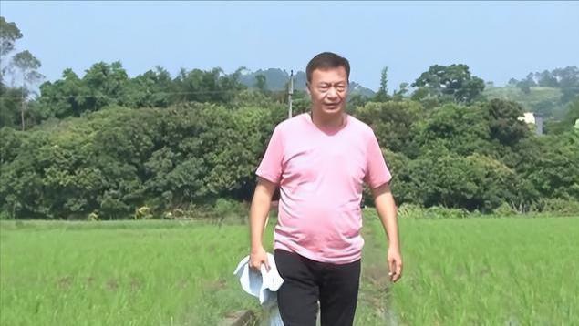 20年过去了，那个退圈下地种田搞农业的廖伟雄，现在坐拥亿万身家