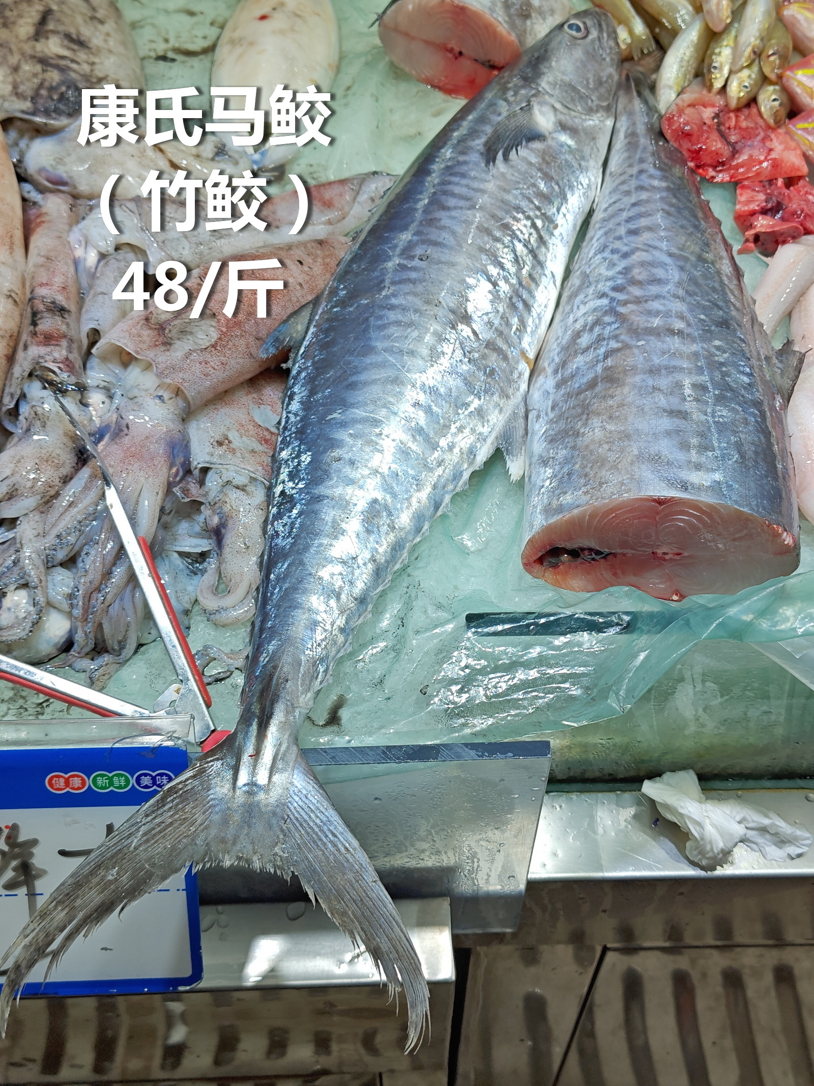 1、湛江来的康氏马鲛（竹鲛）48/斤，新鲜度在广州算难得，2、很小的日本蟳（石蟹