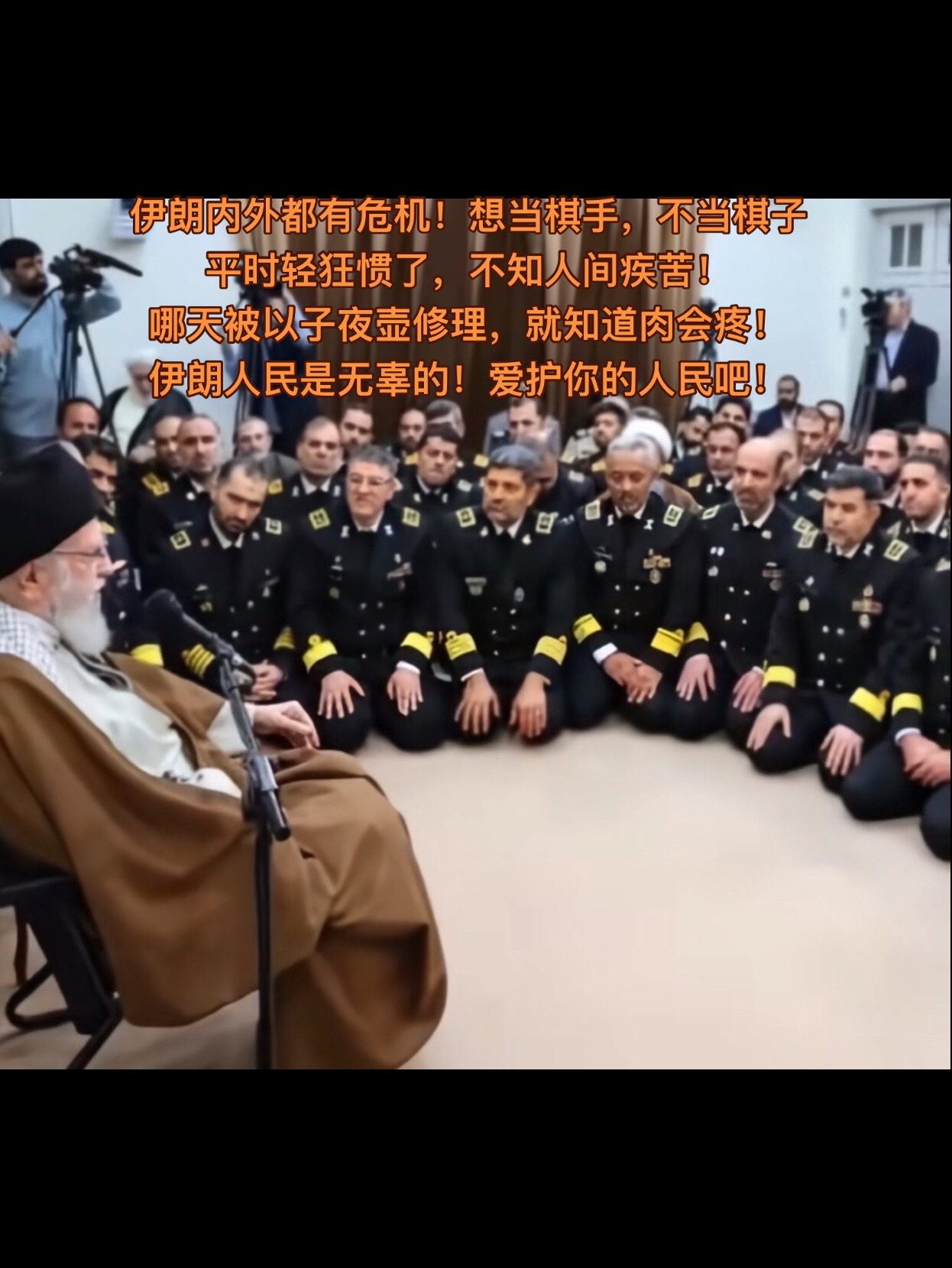 软绵绵的波斯猫！！！！！！！