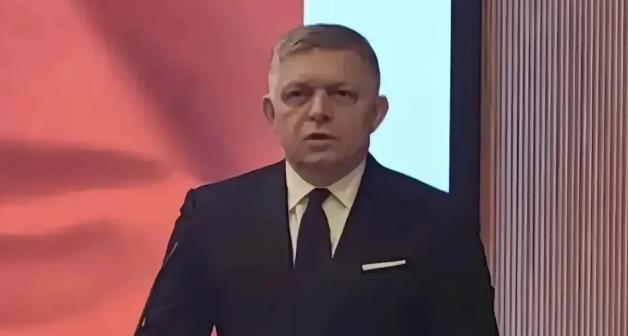 斯洛伐克目前是欧盟和北约的成员国，现在受够了，老百姓冬天连俄罗斯的气都没有了，冻