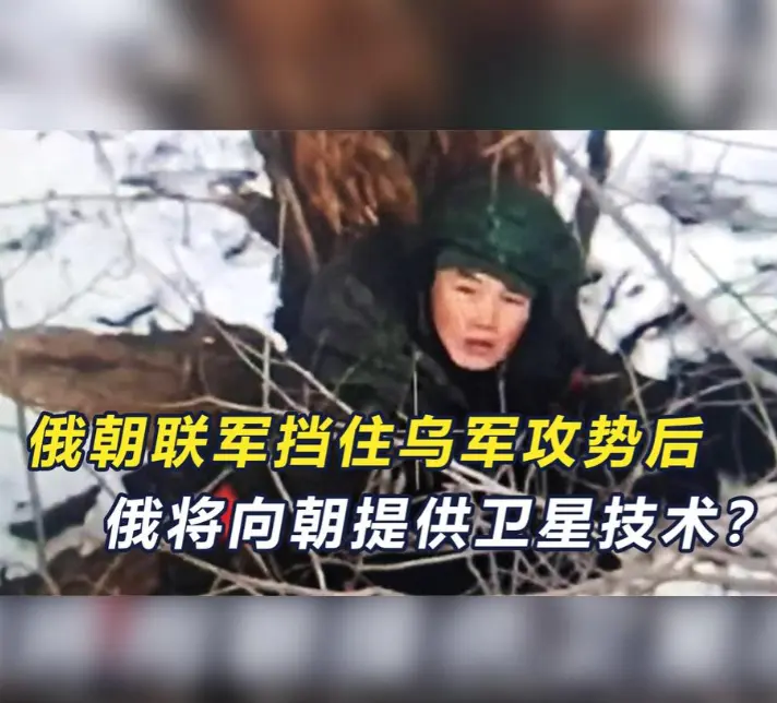 朝军伤亡不轻，莫斯科要兑现大招了？