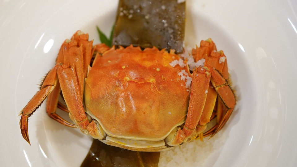 在泉州！40+年老牌福建菜！晋江宴请天花板！！！