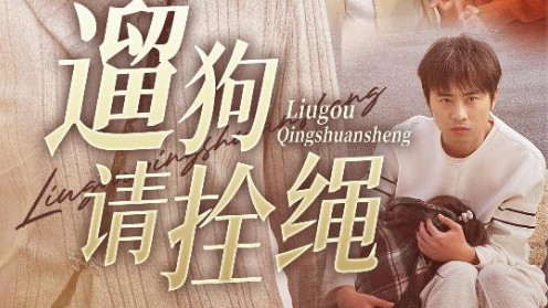 在线免费观看《遛狗请拴绳、脱缰现世报》短剧、完整版遛狗请拴绳、脱缰现世报大结局（全31集）龙沿汐