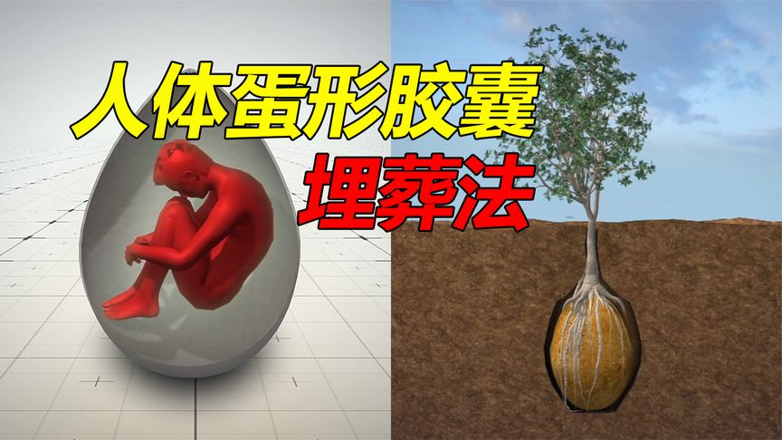 人体蛋形胶囊埋葬法，你愿意变成一棵树吗？