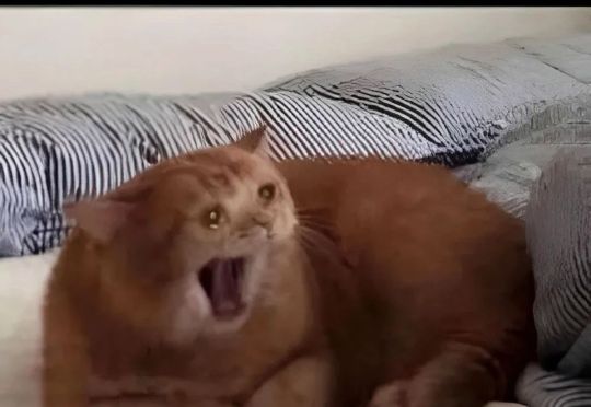 到底是为什么啊