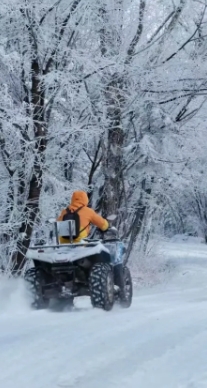 哈尔滨雪乡的旅游攻略