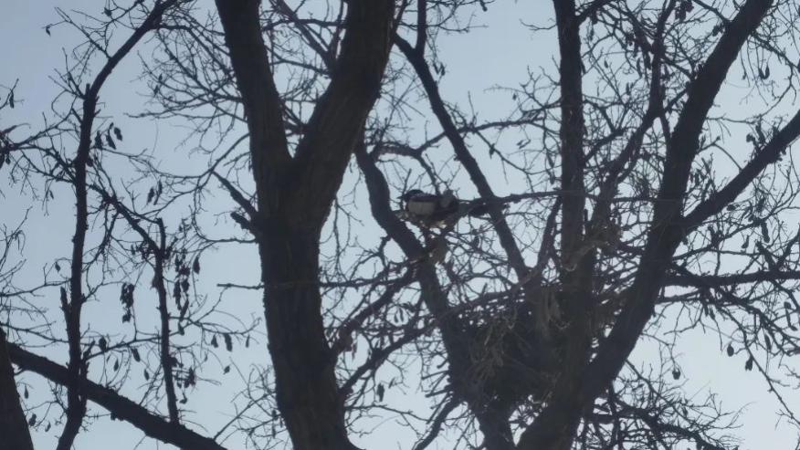 女人爱不爱自己的老公，看几个细节就知道了
