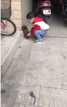 小男孩太棒啦