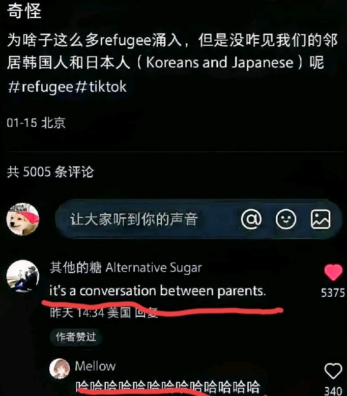 这个美国人说话也太太太毒了，小红书上有人发帖问：“小红书都被外国人攻陷了，有美国