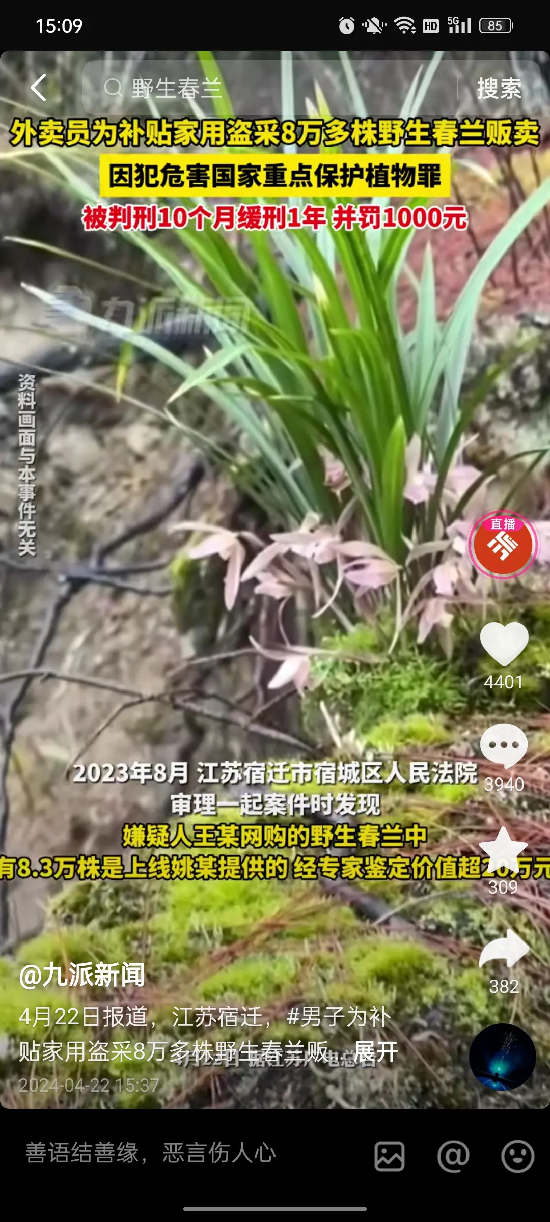 这种保护植物为何不在它旁边立个牌子标明？