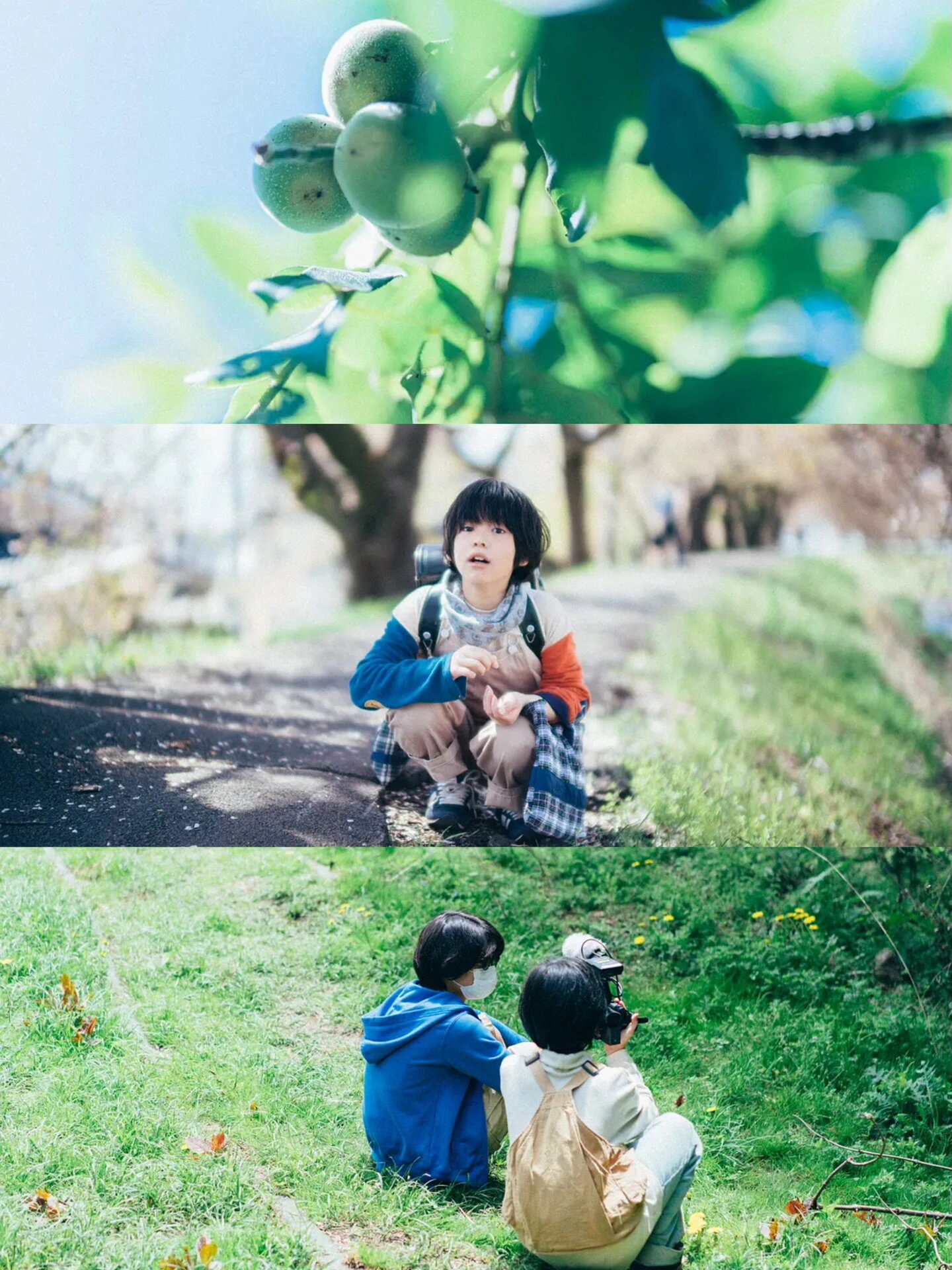 是枝裕和最新电影！年度催泪佳作