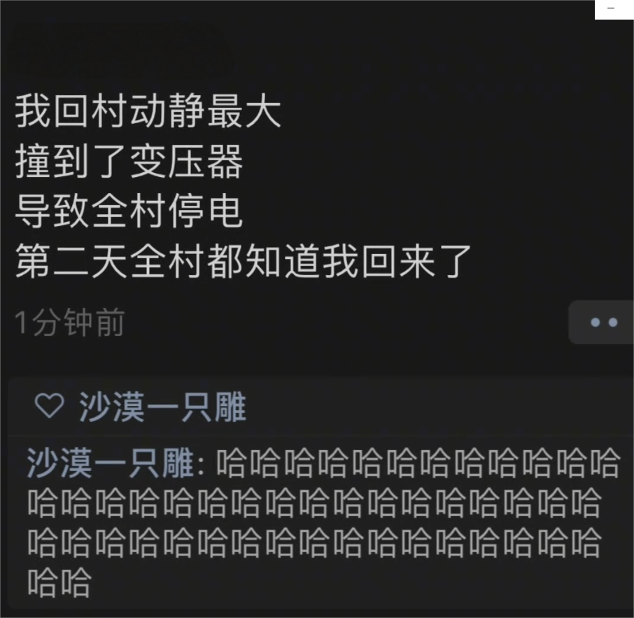 全村都知道我回来了