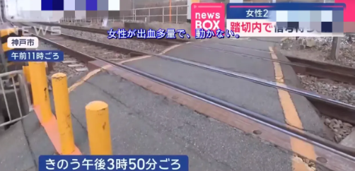 两中国游客日本遇难                               