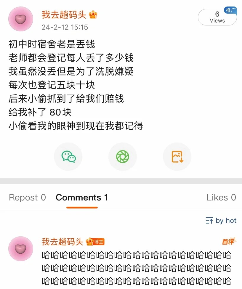 小偷：我谁都对不起唯独对得起你
