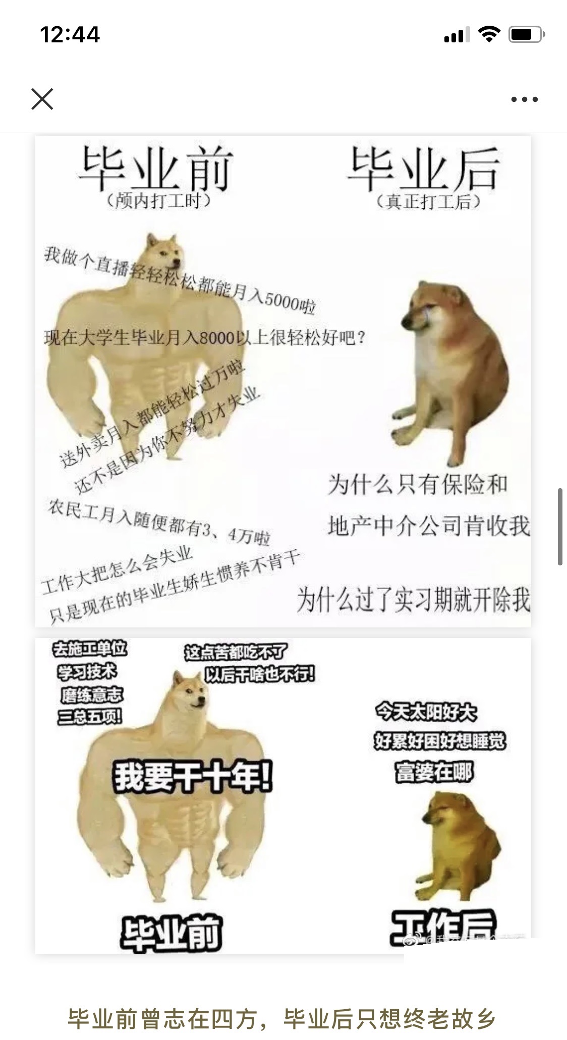 毕业后只想终老故乡