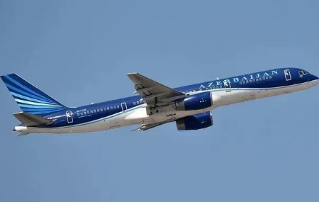 阿航空难，俄罗斯第一时间咬定是“鸟击”