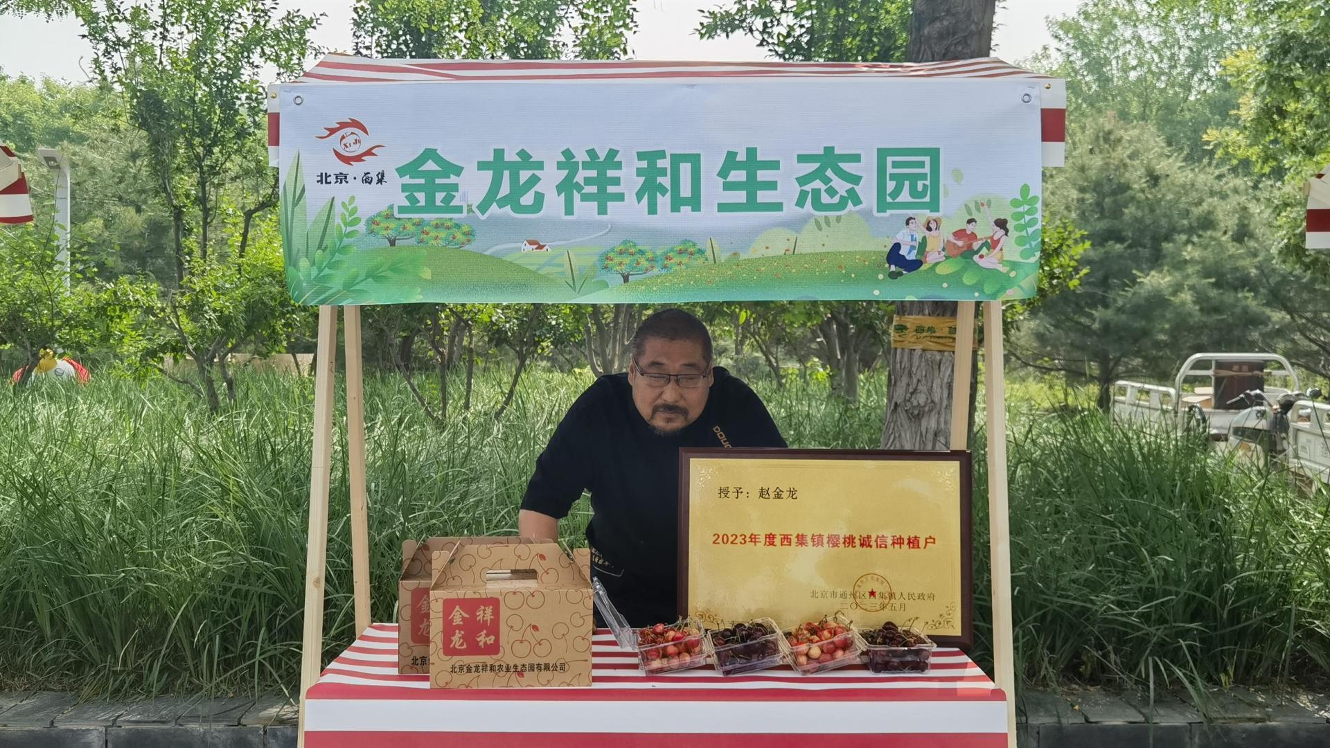 2024北京西集樱桃采摘旅游季甜蜜来袭：金龙祥和农业生态园5月18日开园啦！金龙大哥的樱桃给您的生活