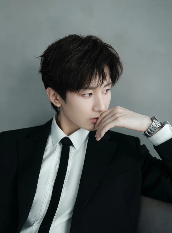 成毅的演艺之路