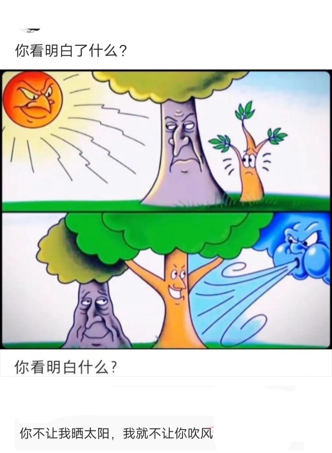 你看明白了什么？